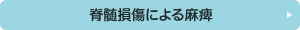 脊髄損傷による麻痺