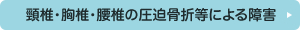 頸椎・胸椎・腰椎の圧迫骨折等による障害