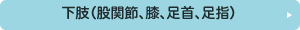 下肢（股関節、膝、足首、足指）